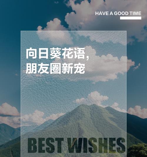 向日葵的花语代表了什么？如何用向日葵表达情感？