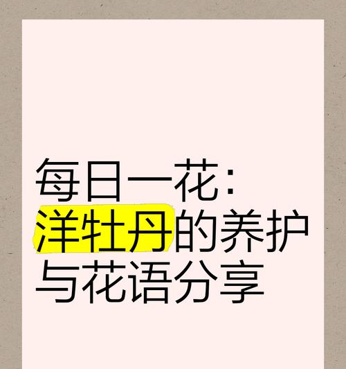 十朵牡丹花的花语是什么意思？