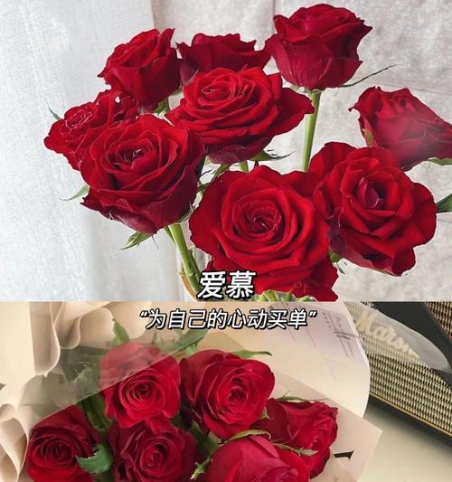 情人节送多少玫瑰花最能表达心意？