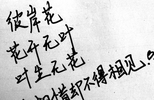 花语花开的下一句是什么？这句话完整的内容是什么？