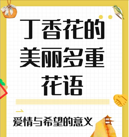 香奈儿的花语是什么？它代表了怎样的情感？