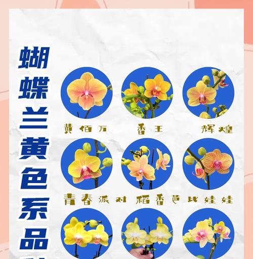 什么花语是自由的爱呢表情包？如何用花语表情包表达自由？