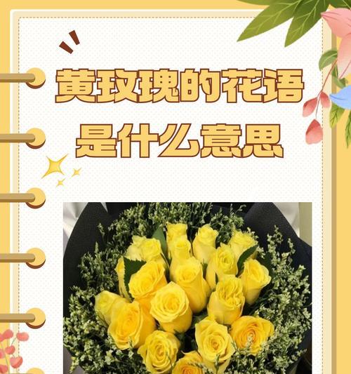 365支玫瑰代表什么花语？