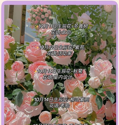 哪种花的花语是三个字？