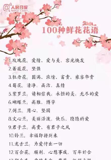 哪种花的花语是三个字？