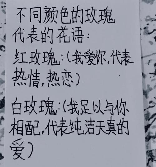无用的爱情花语代表什么？如何理解其深层含义？