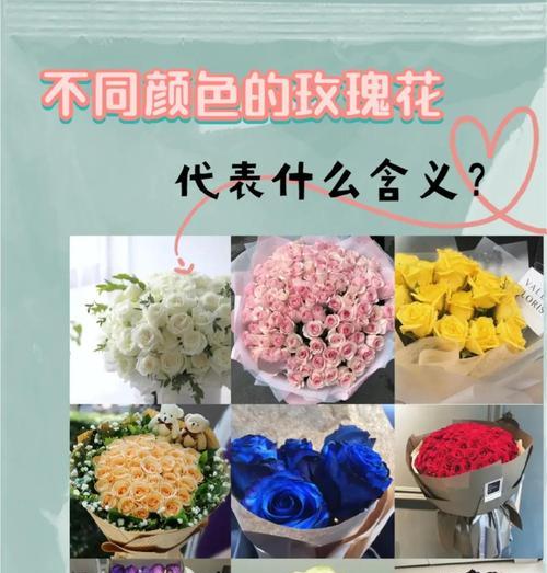 九红二白玫瑰花代表了什么？这种颜色搭配的玫瑰花语是什么？