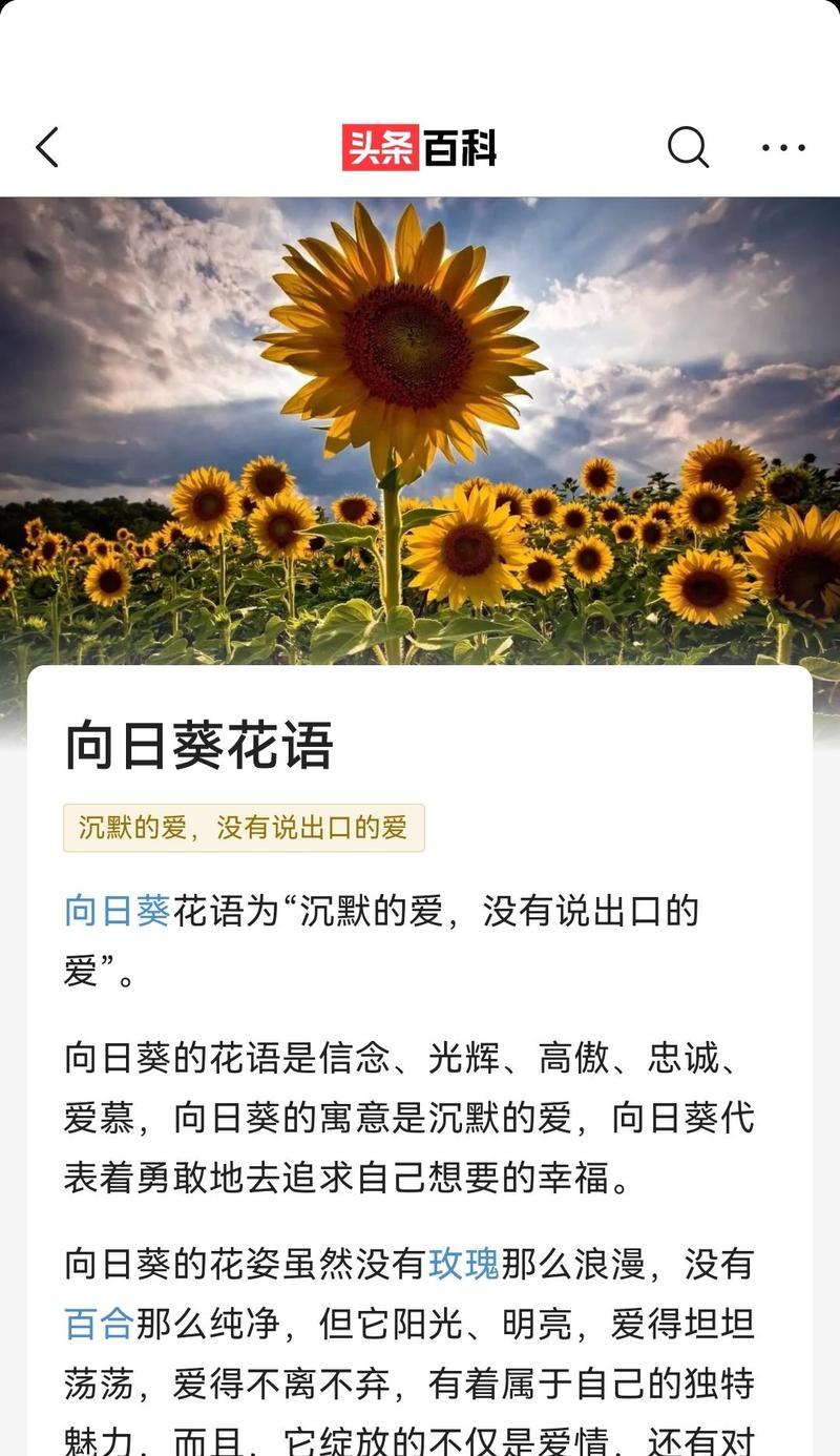 花语卡上应该写些什么？如何用花语卡表达心意？