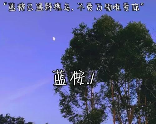 网名青花语有何特殊含义？如何选择？