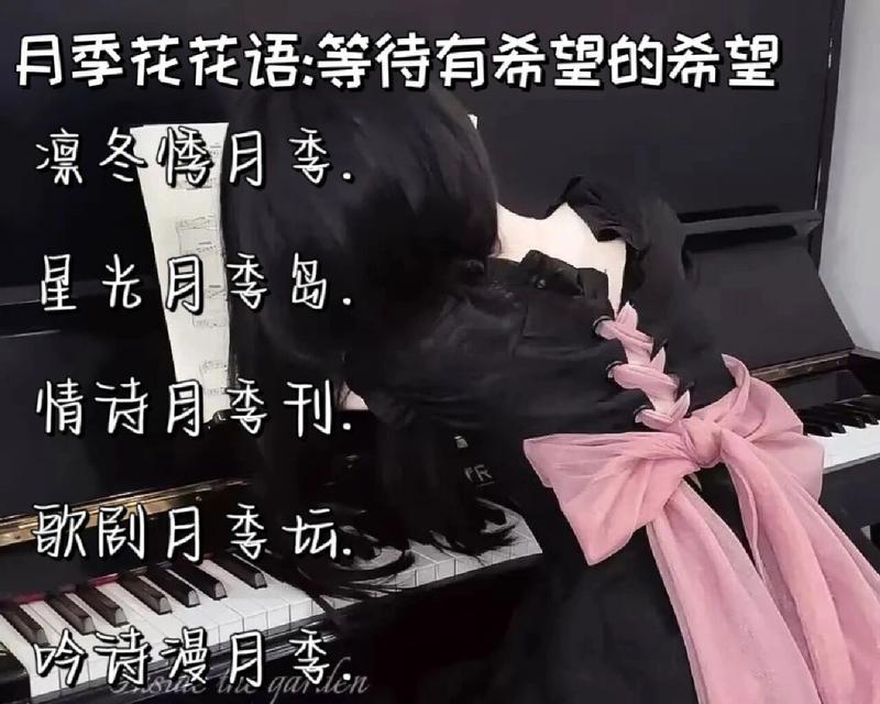 网名青花语有何特殊含义？如何选择？