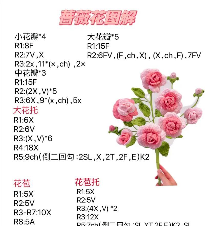 蔷薇花隐藏的花语有哪些？