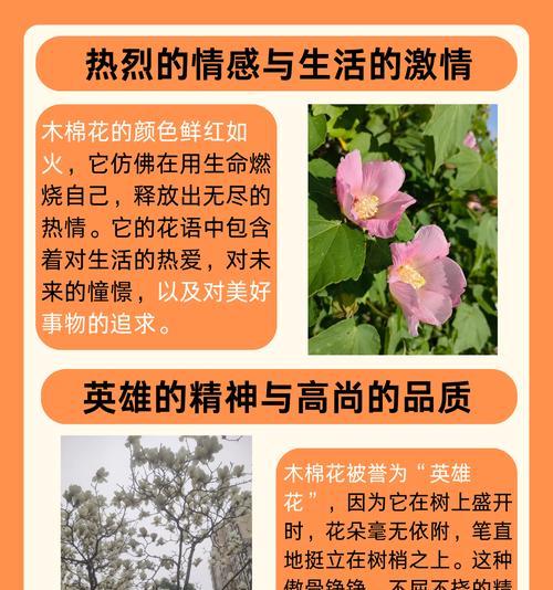 厚薄树的花语有哪些？它象征着什么？