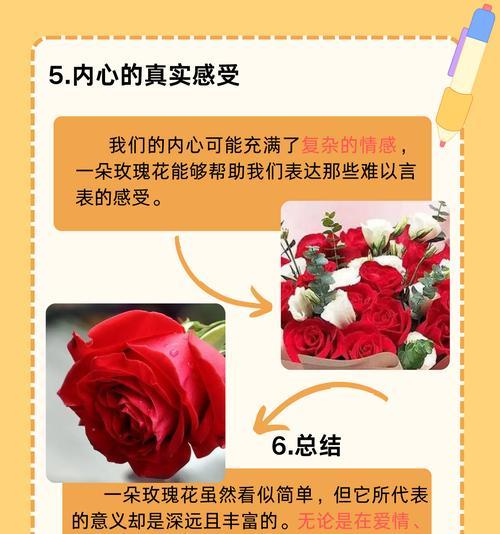 最美的玫瑰花代表什么？花语中蕴含的意义？
