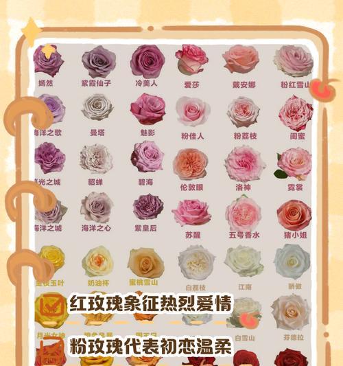 最美的玫瑰花代表什么？花语中蕴含的意义？