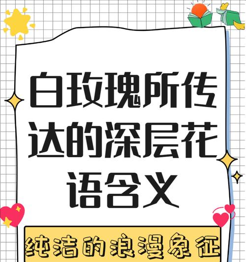 除了爱情，花语还能表达哪些情感？