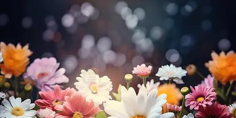 情人节牡丹花颜色选择指南？哪种颜色最能表达爱意？