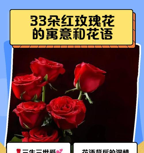 收到玫瑰花意味着什么？花语中隐藏了哪些情感？