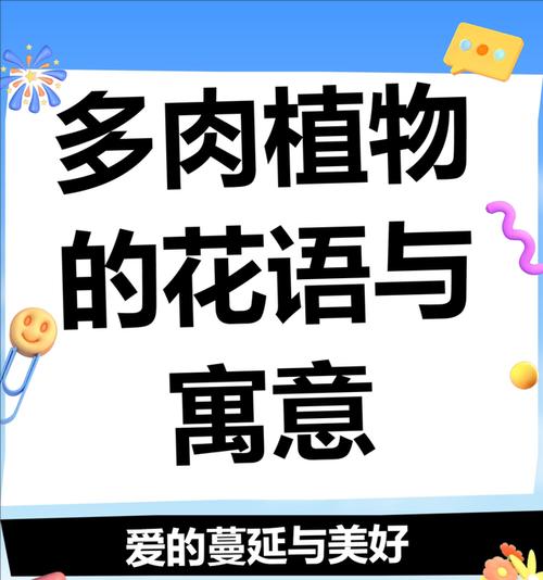 多肉花卷的花语寓意有哪些？它象征着什么？