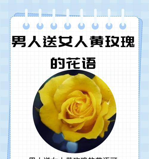 玫瑰花语中大方端庄的含义是什么？