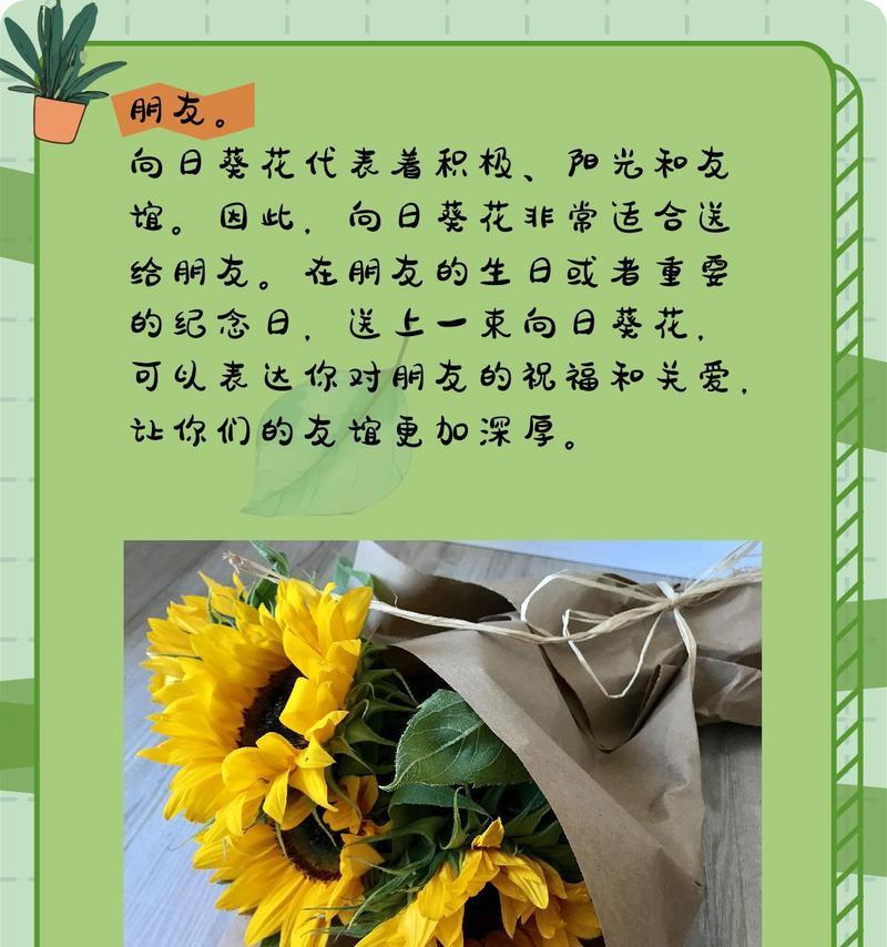 向日葵花束的花语是什么？向日葵寓意着什么？