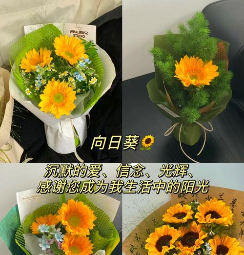 如何选择花语让送花更显心意？