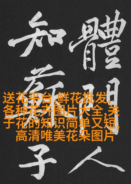 如何选择花语让送花更显心意？