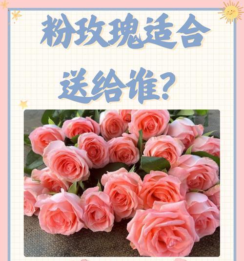 送给女儿的花语应该表达什么？