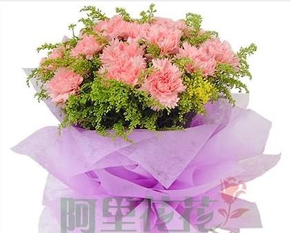 老师抛弃的花语有何含义？它代表了什么情感？