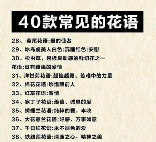深情的花语和寓意有哪些？