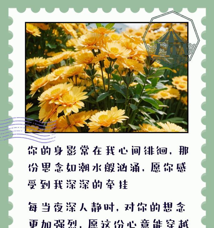 永恒思念的花语代表了什么？这种花语适合表达什么情感？