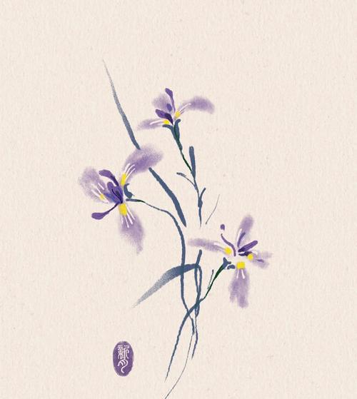 永恒思念的花语代表了什么？这种花语适合表达什么情感？