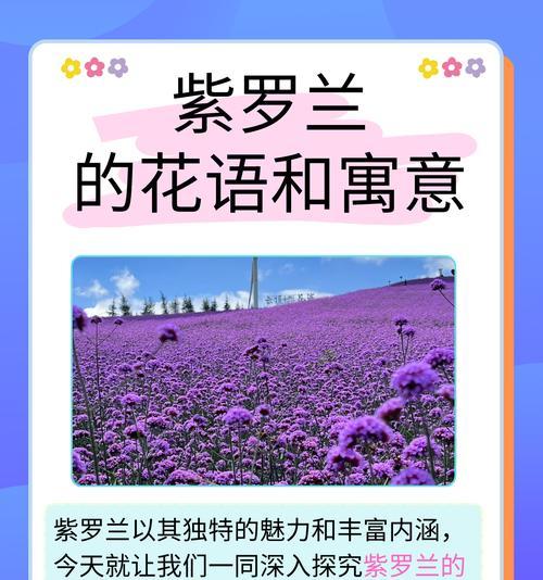 永恒思念的花语代表了什么？这种花语适合表达什么情感？