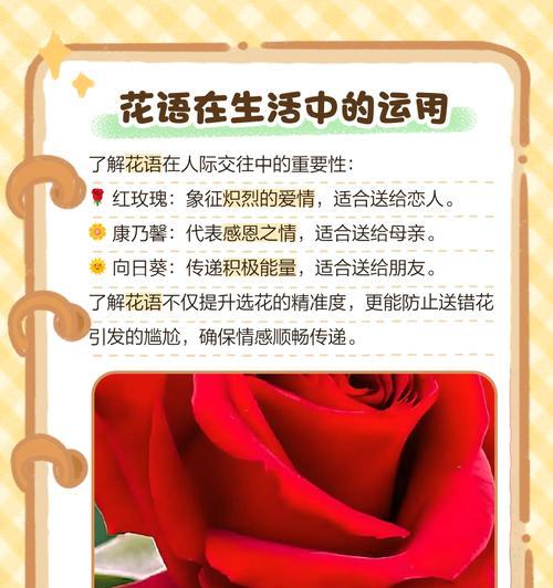 无法实现的愿望花语有何含义？花语表达了什么？