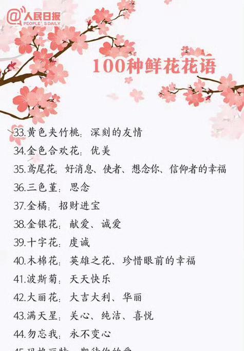 玫瑰香氛的花语是什么？它传递了哪些情感？