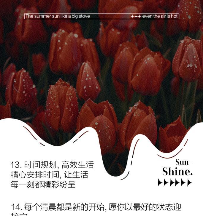 自信张扬热烈明媚的花语是什么？它传递了哪些信息？