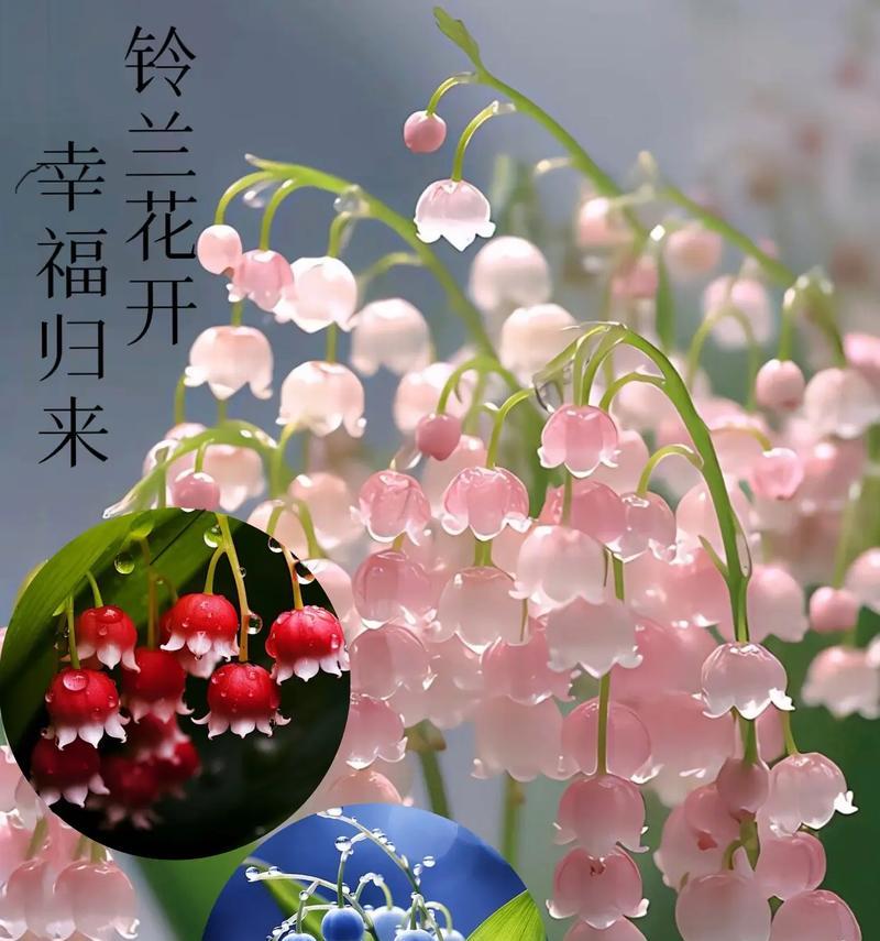 暖暖时光花束的花语有何深意？