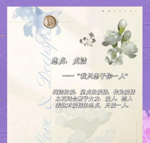 茉莉烟搭配的花语有何特别之处？