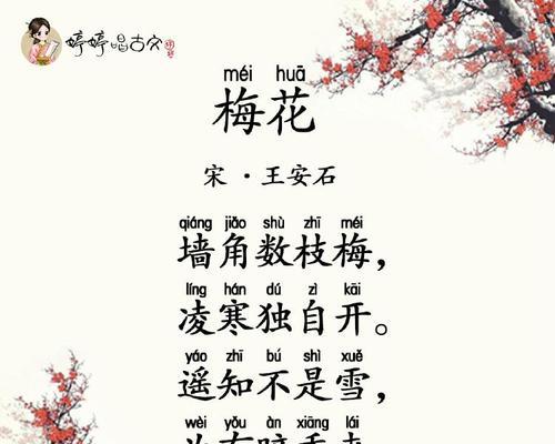 梅花的花语有哪些？