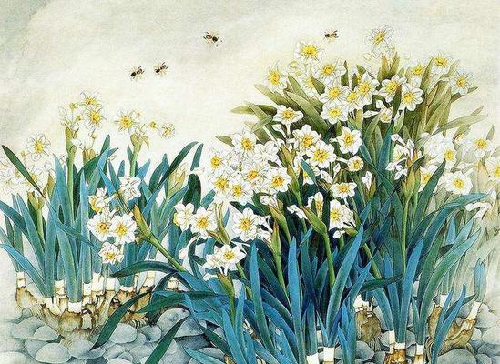 清竹象征着什么？它的花语是什么？