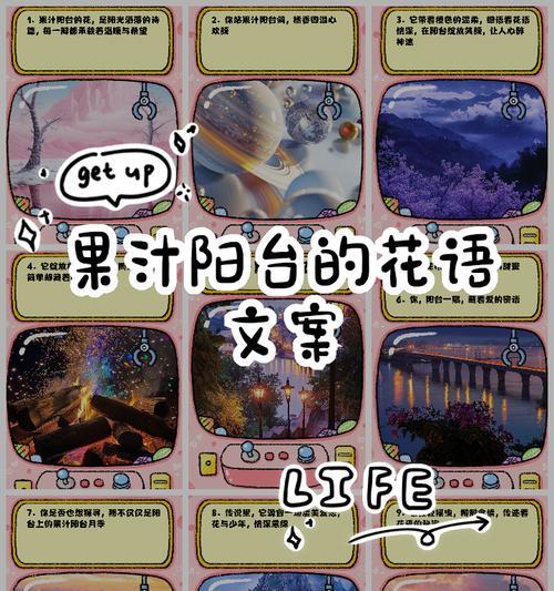 橙橘花的寓意和花语是什么？