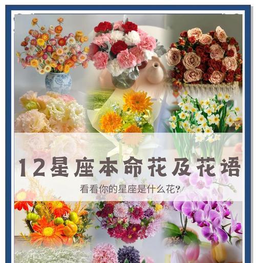 哪种花代表女性的花语和寓意？女性花语的花有哪些？