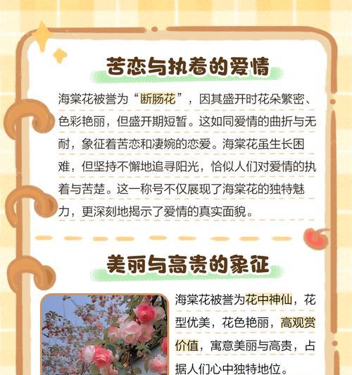 哪种花代表女性的花语和寓意？女性花语的花有哪些？