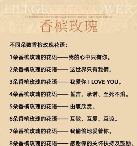 玫瑰送谁都喜欢的花语是什么？它代表了哪些寓意？