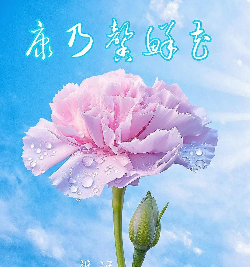 送给妈妈哪种花最合适？