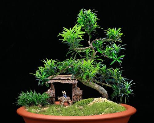 逆风中道具的花语有何深意？