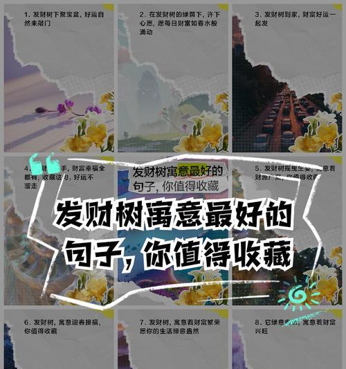 发财树的花语寓意有哪些？
