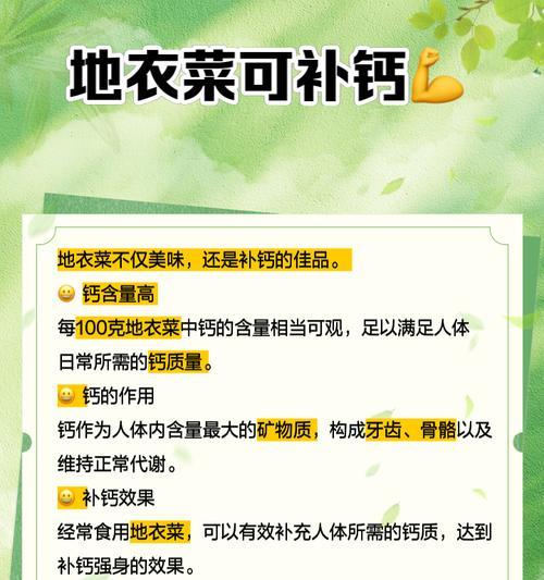 地衣花语的寓意由来？地衣象征着什么？
