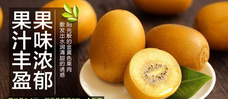 加油小土豆花语是什么？小土豆花语传递了怎样的鼓励？