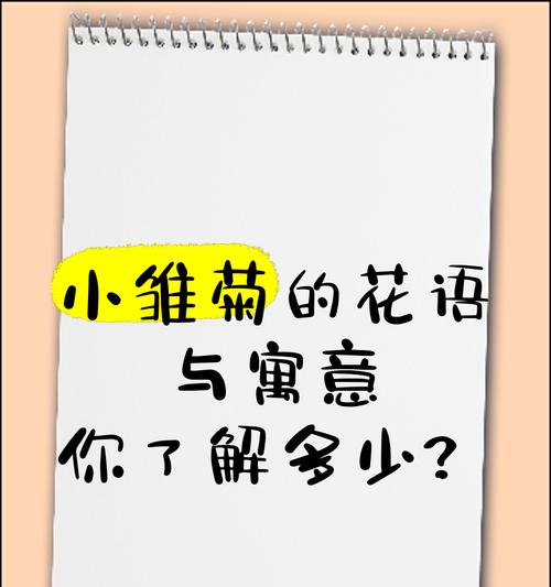 雏菊的花语有哪些特别的含义？