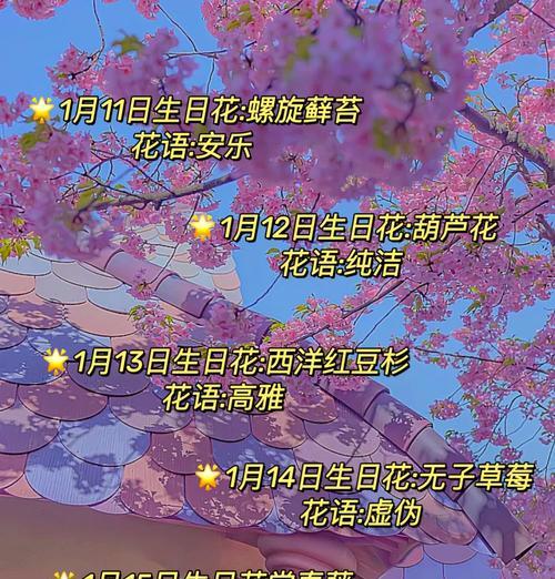 搞笑花语是什么？如何用花语制造幽默？